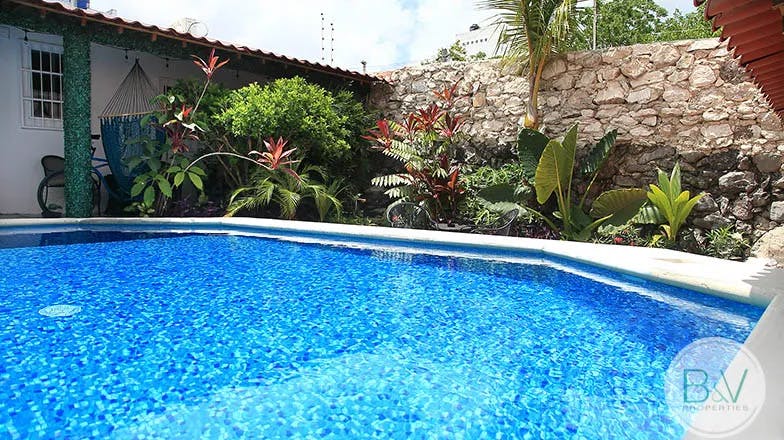 villa-minerva-for-rent-long-term-bv-properties-cozumel-pool-green